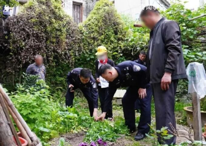 浙江小学生看到罂粟报警 荣膺禁毒小卫士