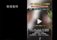 财务妈妈侵占公司630万为儿子还赌债 老板：我没有当场气死就不错了