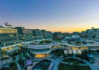 专业调整后不小心成了绝版人才 未来的职业出路在哪