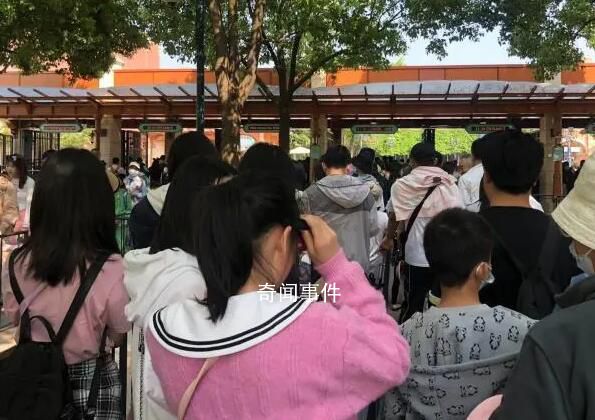 杭州小学生提前出游家长熬夜抢门票 不约而同做起这件事
