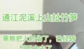 四川村民上山拣野菌被熊袭击 目前已无生命危险