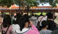 杭州小学生提前出游家长熬夜抢门票 不约而同做起这件事
