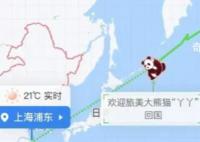 丫丫回国航线图上飞机图标变熊猫 今天下午将落地上海