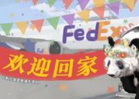 旅美大熊猫“丫丫”专机已降落上海 丫丫终于回来了