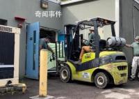 丫丫启程画面曝光 目前食欲良好体重稳定