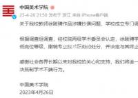 中国美院教师抄袭属实:终止聘用