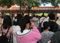 杭州小学生提前出游家长熬夜抢门票 不约而同做起这件事