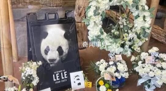 官方:乐乐遗体将用于科学研究