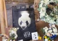 官方:乐乐遗体将用于科学研究