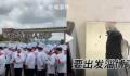 山东蓝翔回应派学生支援淄博烧烤 个别酒店有需求学生都很积极