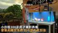 国企小伙兼职养鱼:目标月入2万