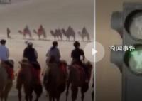敦煌骆驼专用交通信号灯成打卡点 解决了堵骆驼的问题