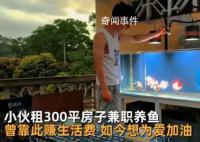 国企小伙兼职养鱼:目标月入2万