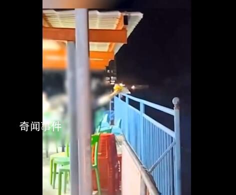 女子清理餐桌将厨余垃圾倒海里 拍摄者：动作很娴熟估计是已经倒了很多次