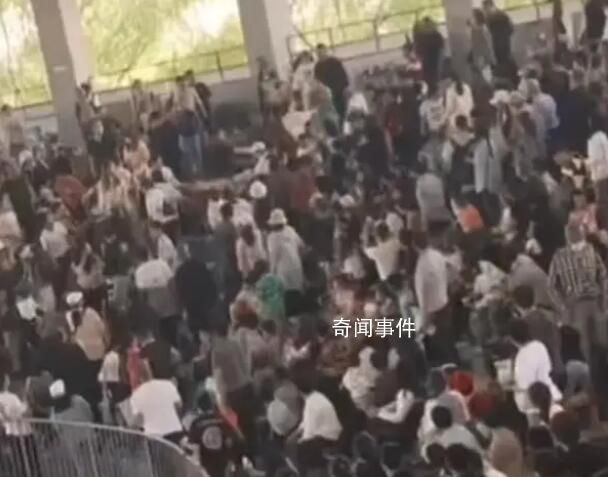 多名游客在动物园打架互殴 网友：一时间不知道看谁了