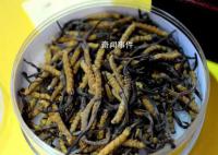 太卷了!四川烧烤虫草