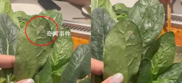 海底捞回应女子吃菠菜发现虫卵 虫卵会不会对人体有害