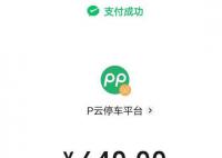游客停车31小时被收640元 网友纷纷表示自己遇到停车刺客