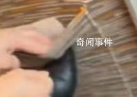 女子高铁上用座椅套擦皮鞋 这种人的素质真是是让人一言难尽