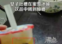 蜜雪冰城回应顾客喝到大蟑螂 正在核查后续会给顾客交代