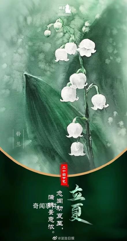 夏天模式开启 你准备好拥抱夏天了吗