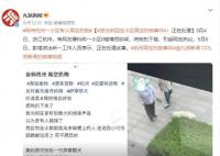 派出所回应杭州高空扔狗事件 正在处理此事