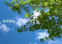 立夏吃一蛋力气长一万 你今天吃蛋了吗