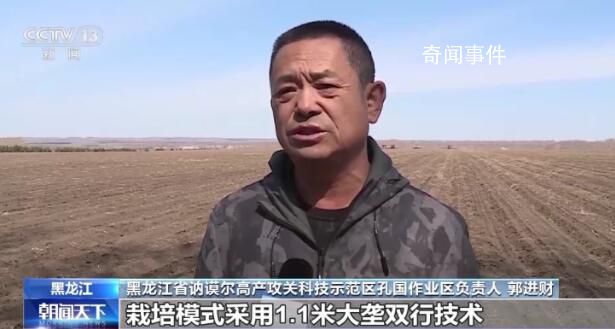 全国春播粮食过四成 各地抓紧推进作物播种