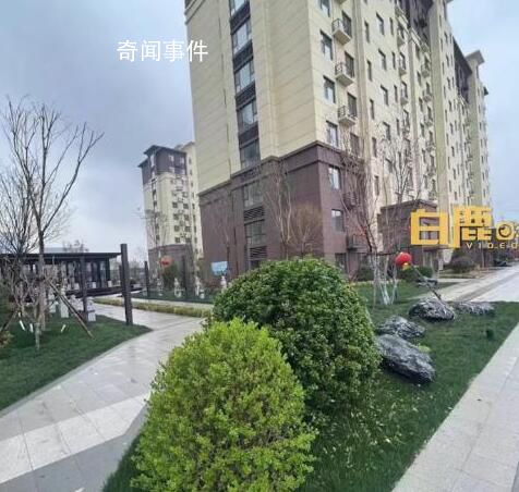 当事人回应吃完烧烤定居淄博 并非一时冲动