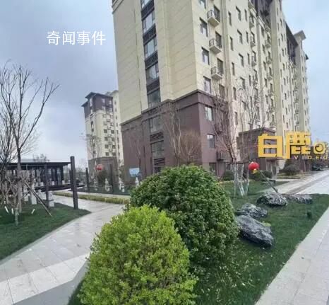 男子在淄博吃完烧烤直接买房定居 引起广泛关注