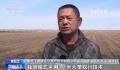 全国春播粮食过四成 各地抓紧推进作物播种