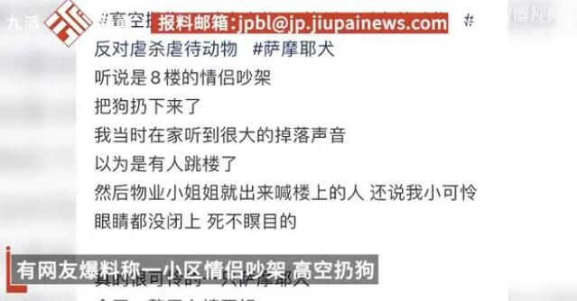 情侣吵架从8楼将萨摩耶扔下 警方已将人带走正在处理