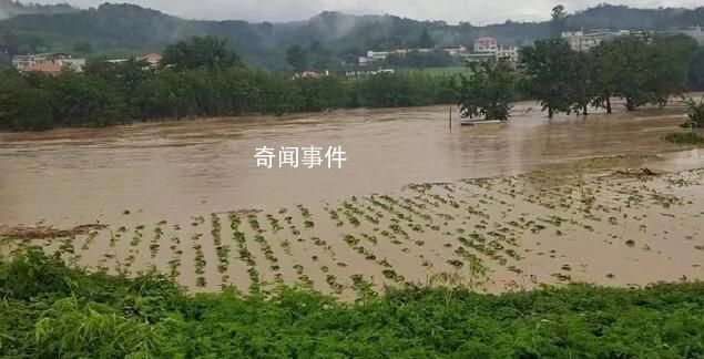 21条河流发生超警以上洪水 其中3条河流超保