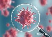 我国新冠主要流行株已变为XBB系列 占比增至74.4%