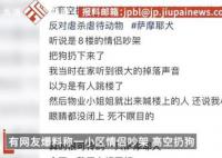 情侣吵架从8楼将萨摩耶扔下 警方已将人带走正在处理