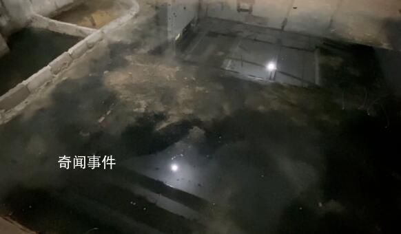 上海一饭店偷倒垃圾后砌墙致整楼恶臭 居民们震惊了