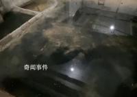 上海一饭店偷倒垃圾后砌墙致整楼恶臭 居民们震惊了