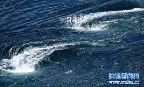 江西鄱阳湖水怪之谜 鄱阳湖水怪导致沉船事件