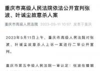 张波叶诚尘均系主犯 二人在共同犯罪中地位作用相当