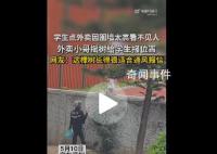 学生偷点外卖 小哥摇树报送餐位置