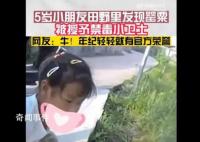 5岁女孩认出罂粟花报警铲除 民警为其颁发禁毒小卫士荣誉证书