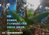 女子躲香蕉地接诈骗电话近5小时 民警苦劝仍坚持要给对方转账