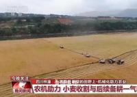 当传统小麦遇上现代机械化收割 小麦收割与后续备耕一气呵成