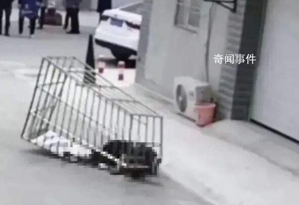 男子随防盗网从六楼坠落身亡 作业时没有系安全绳
