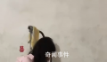 女子辞年薪50万工作照顾瘫痪奶奶 怕现在不这样做以后就再也没机会了