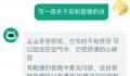 心花绽放 女友收到我的AI表白画后哭了