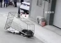 男子随防盗网从六楼坠落身亡 作业时没有系安全绳