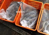 一夜偷1000斤蛇500枚蛇蛋4人落网 半个月作案4起案值约27万元