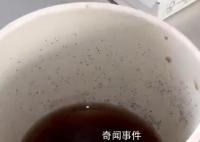 麦当劳外卖可乐杯壁内布满霉点 已派出外送员取问题杯子