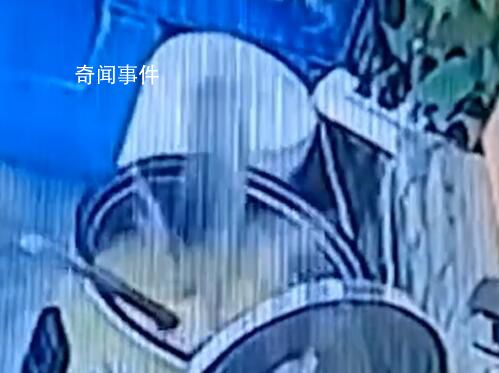 鱼缸里的鱼一跃跳进一锅粥里 鱼正巧跳进锅里不幸丧生